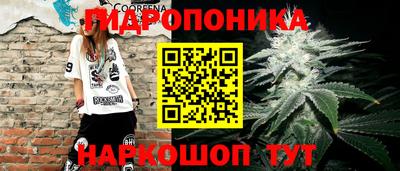 стафф Обнинск